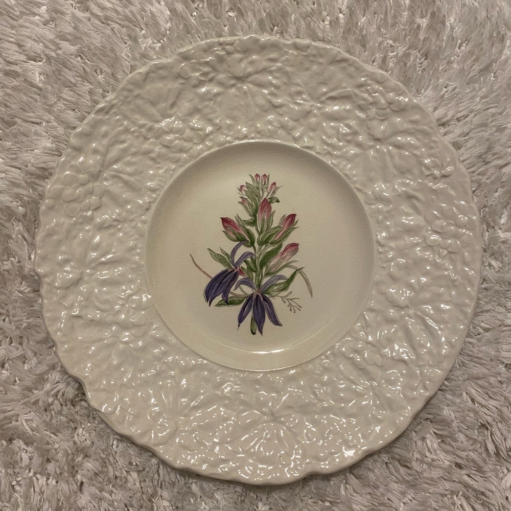 Royal Cauldon Bristol Ironstone Woodstock “Cardinal Flower” Floral Plate